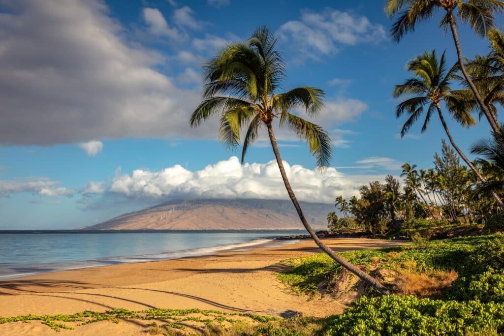 Kihei Beach