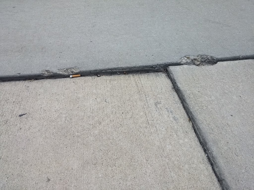 Photo #3
