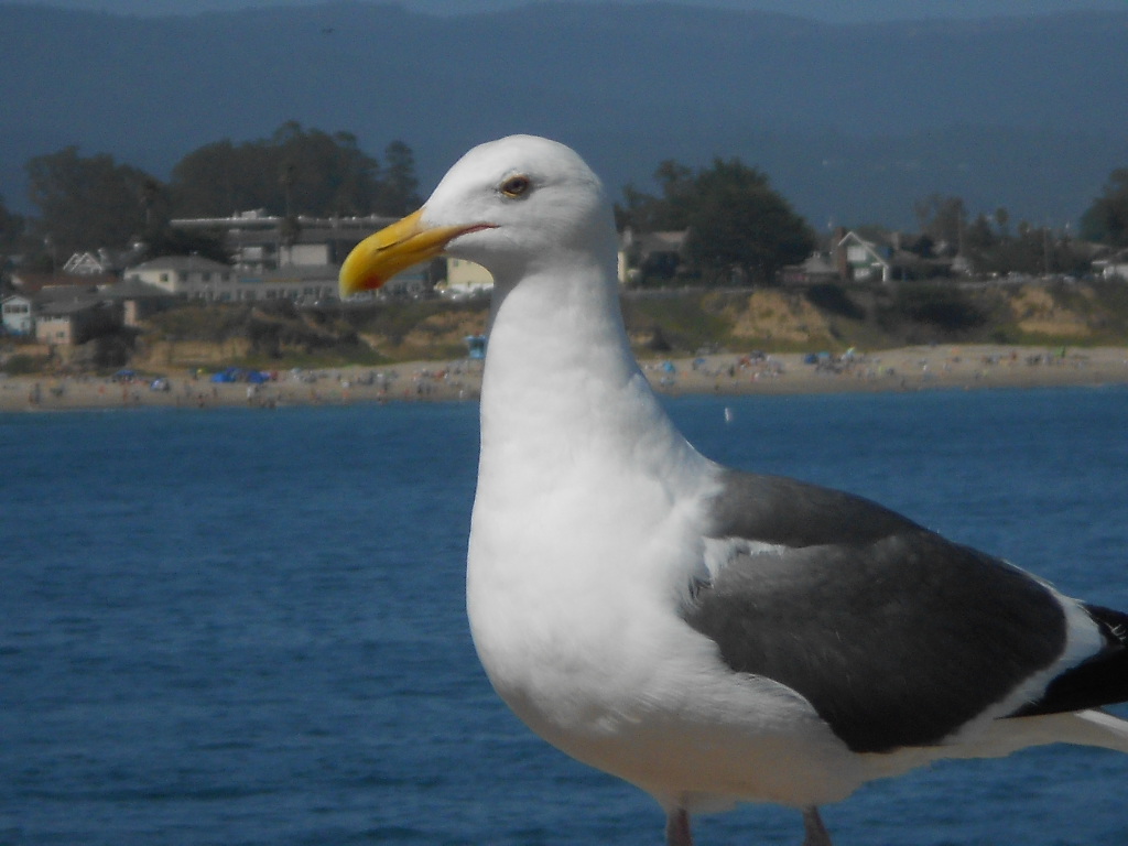 California Hwy 1 Coastal Road Trip - June 21-30, 2013