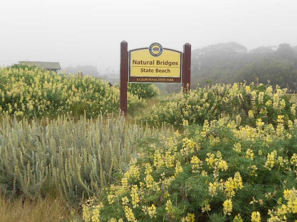 California Hwy 1 Coastal Road Trip - June 21-30, 2013