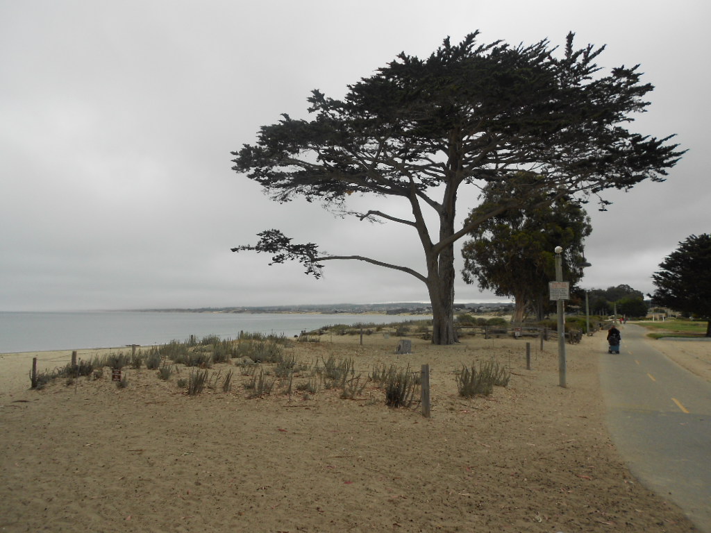 California Hwy 1 Coastal Road Trip - June 21-30, 2013