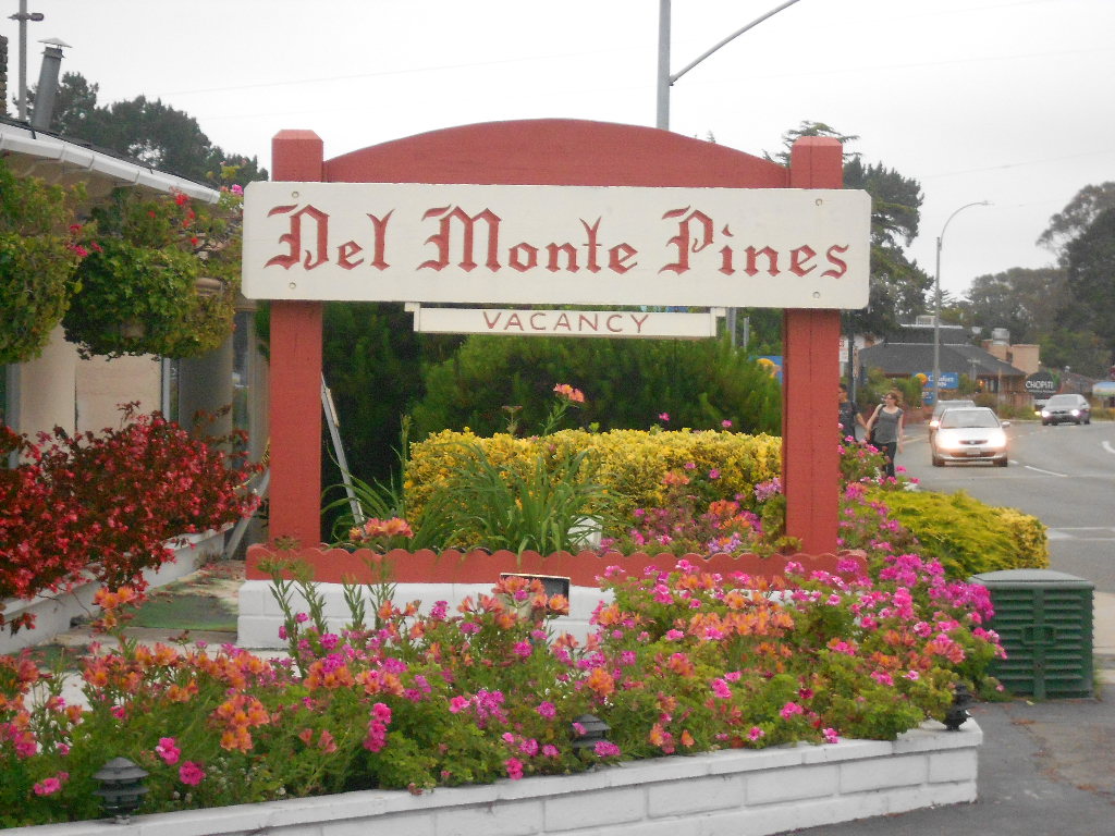 California Hwy 1 Coastal Road Trip - June 21-30, 2013