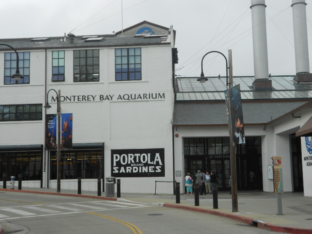 California Hwy 1 Coastal Road Trip - June 21-30, 2013