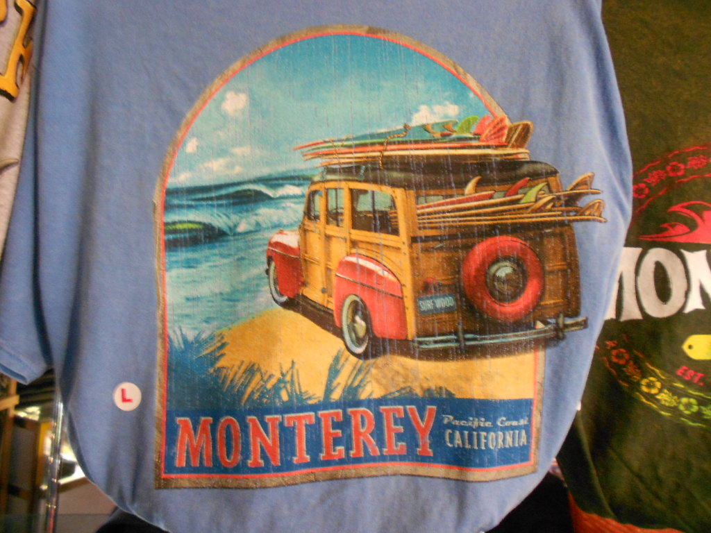 California Hwy 1 Coastal Road Trip - June 21-30, 2013