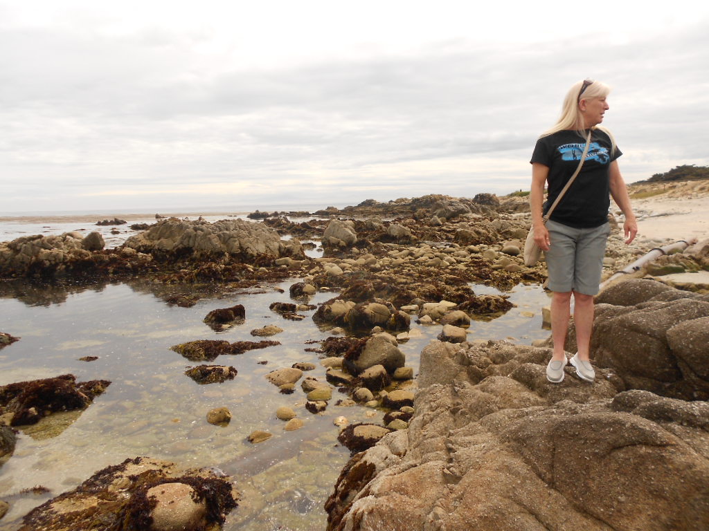 California Hwy 1 Coastal Road Trip - June 21-30, 2013
