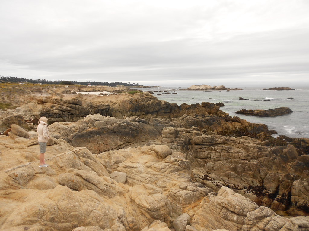 California Hwy 1 Coastal Road Trip - June 21-30, 2013