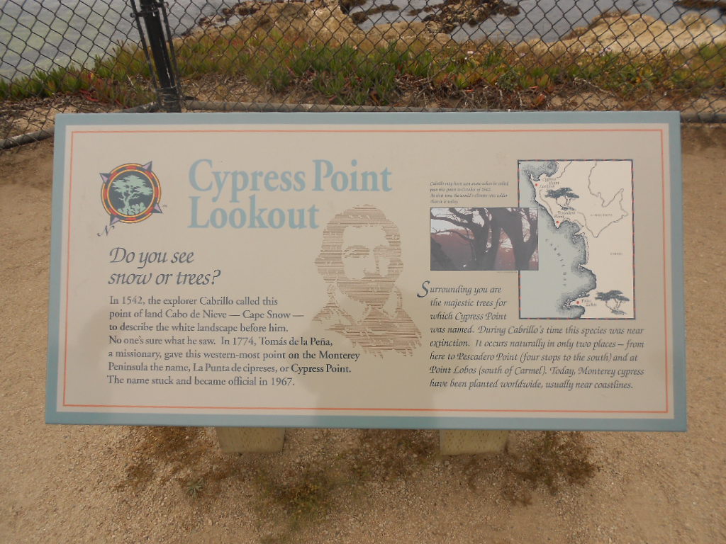 California Hwy 1 Coastal Road Trip - June 21-30, 2013