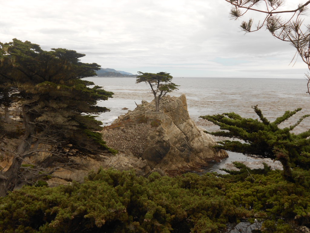 California Hwy 1 Coastal Road Trip - June 21-30, 2013