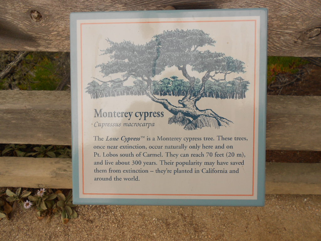 California Hwy 1 Coastal Road Trip - June 21-30, 2013