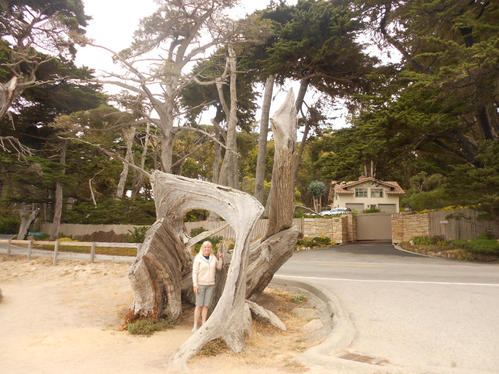 California Hwy 1 Coastal Road Trip - June 21-30, 2013