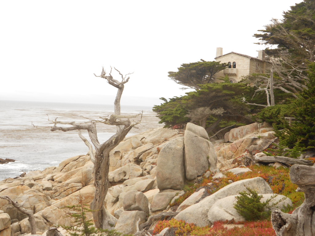 California Hwy 1 Coastal Road Trip - June 21-30, 2013