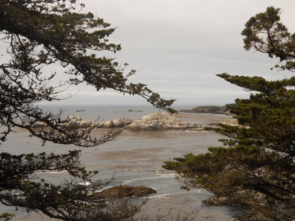 California Hwy 1 Coastal Road Trip - June 21-30, 2013