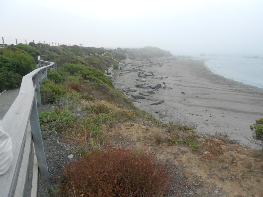 California Hwy 1 Coastal Road Trip - June 21-30, 2013