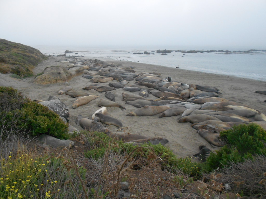 California Hwy 1 Coastal Road Trip - June 21-30, 2013