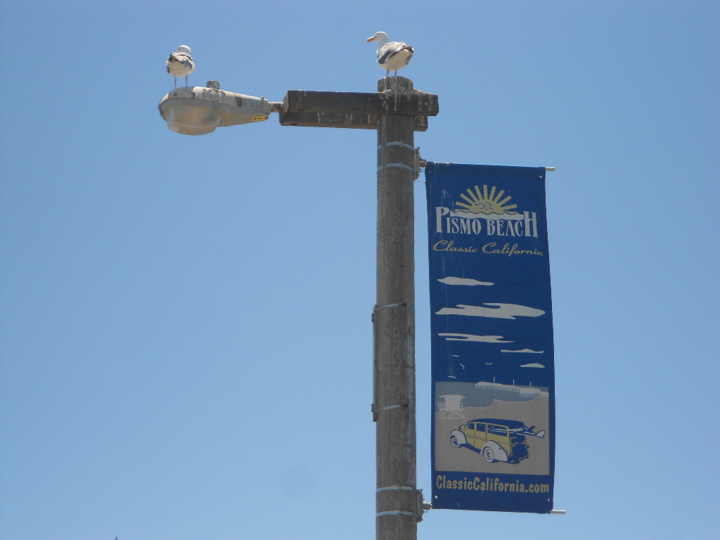 California Hwy 1 Coastal Road Trip - June 21-30, 2013