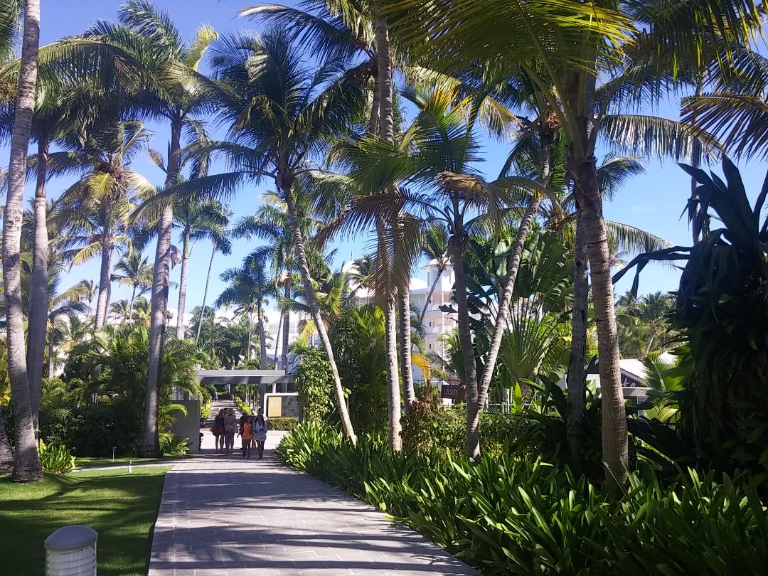 Punta Cana Photo