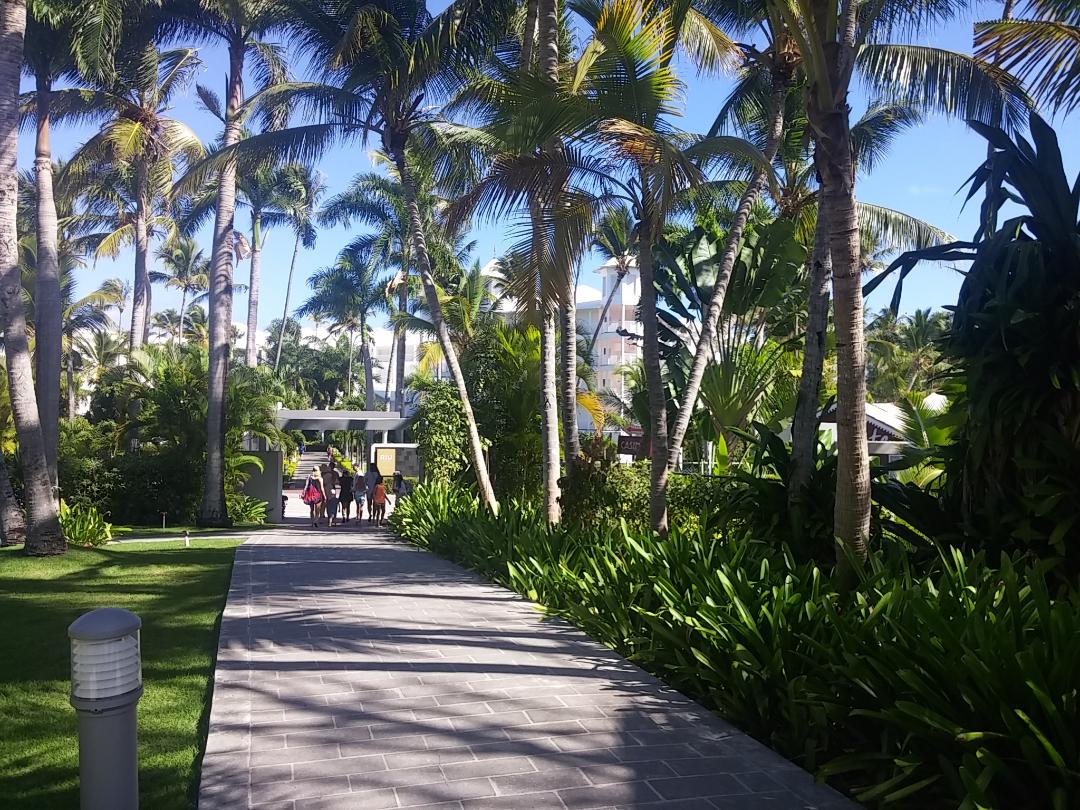 Punta Cana Photo