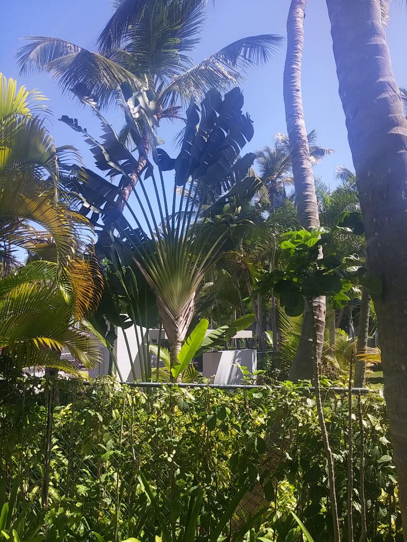 Punta Cana Photo