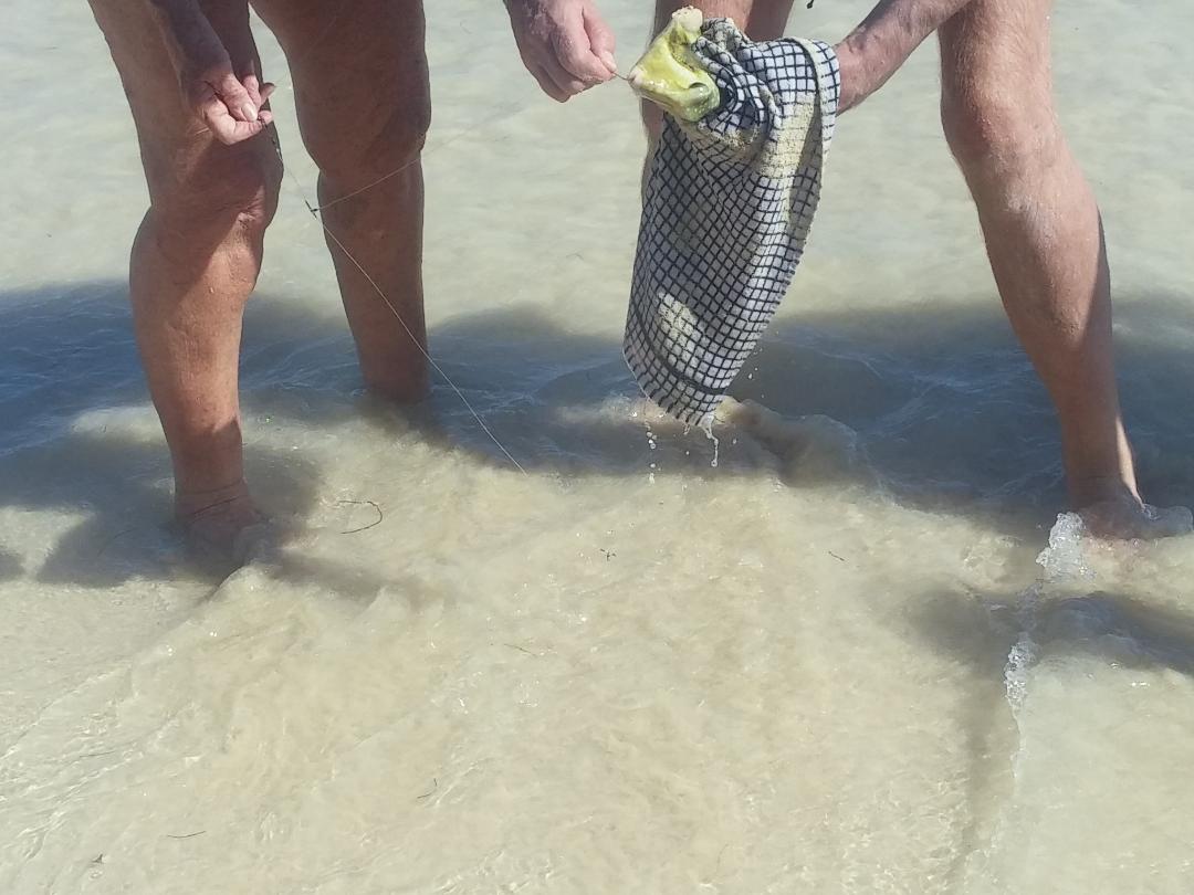Punta Cana Photo