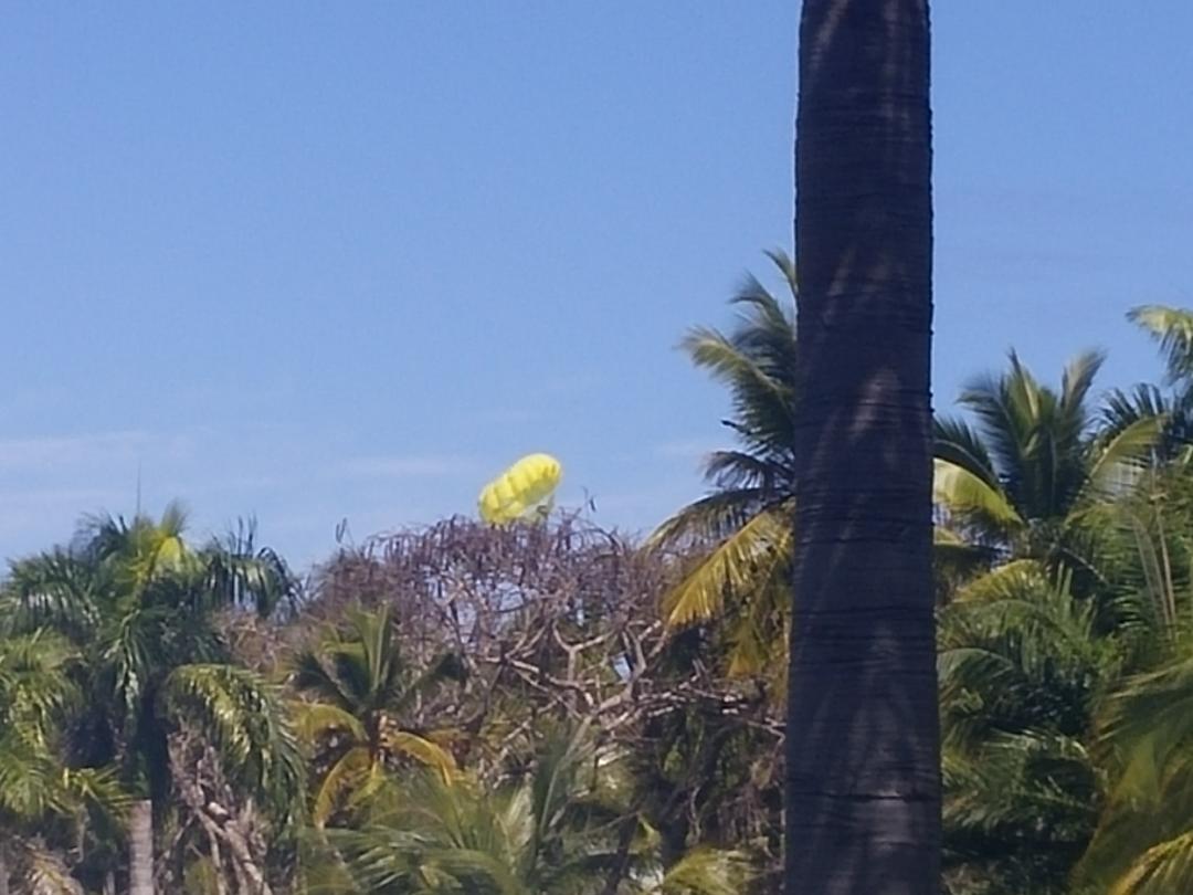 Punta Cana Photo
