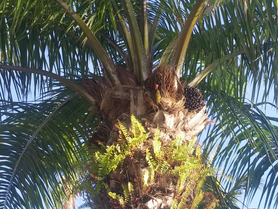 Punta Cana Photo
