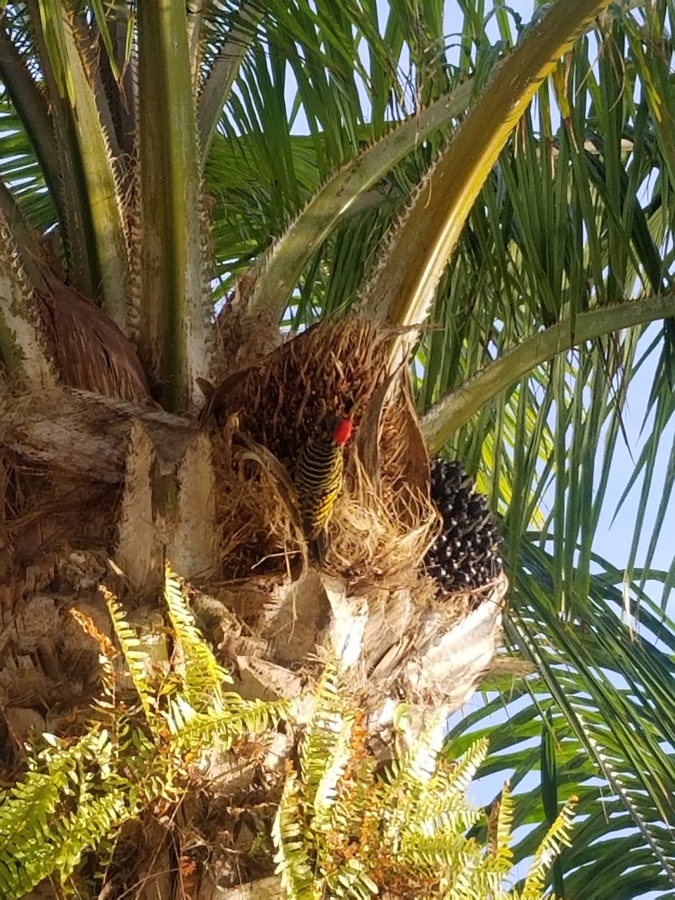 Punta Cana Photo