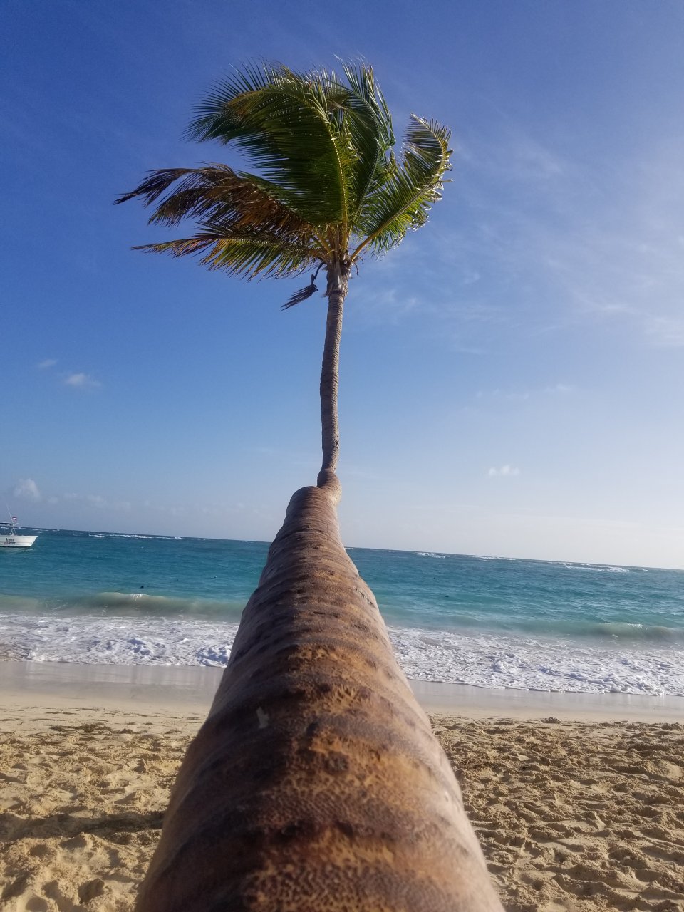 Punta Cana Photo