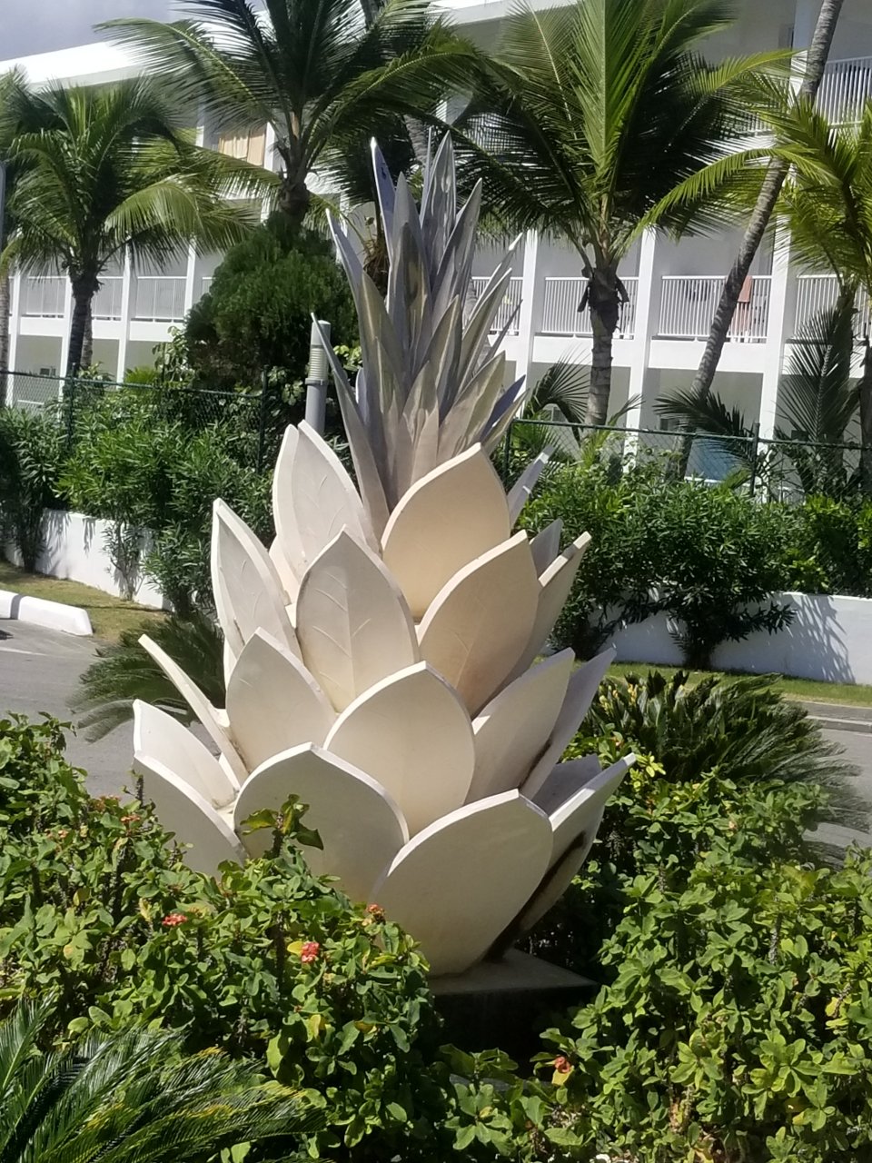 Punta Cana Photo