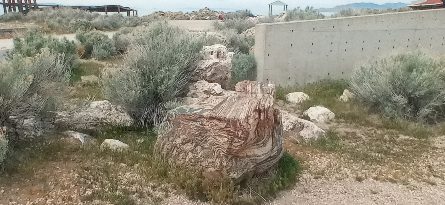 Personal Photo #7