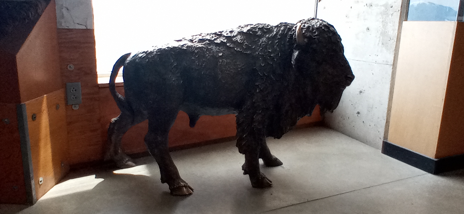 Personal Photo #14