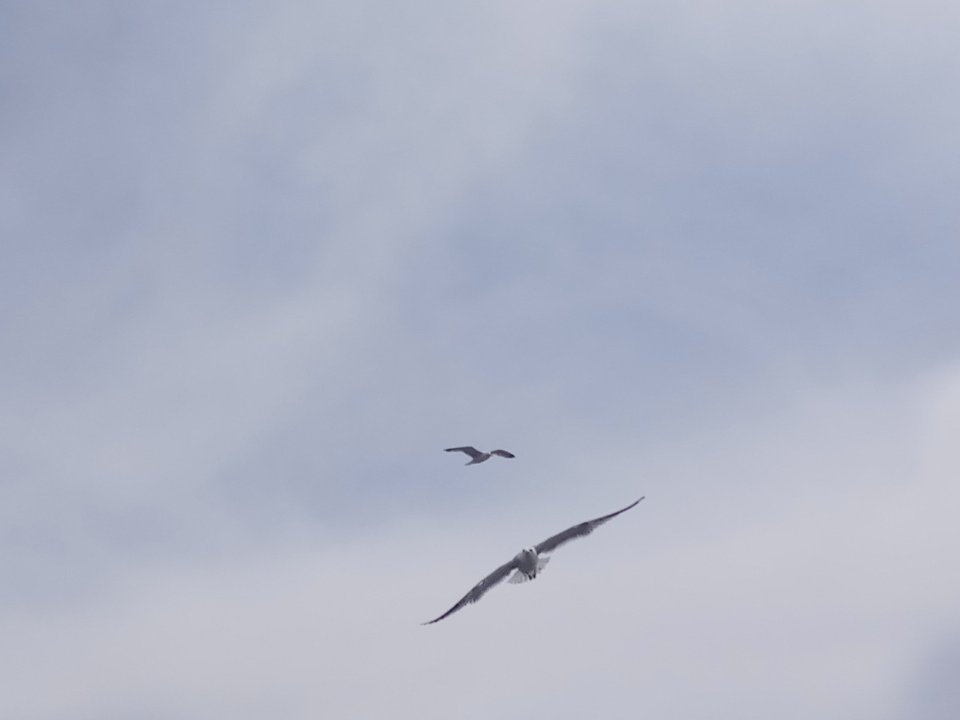 Personal Photo #22