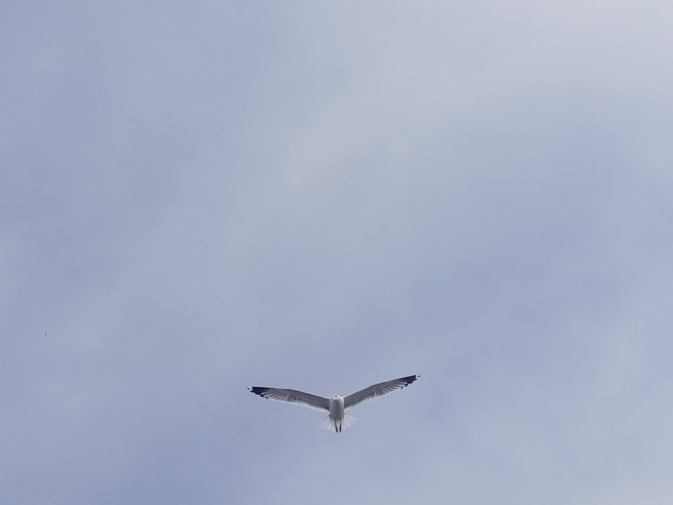 Personal Photo #24