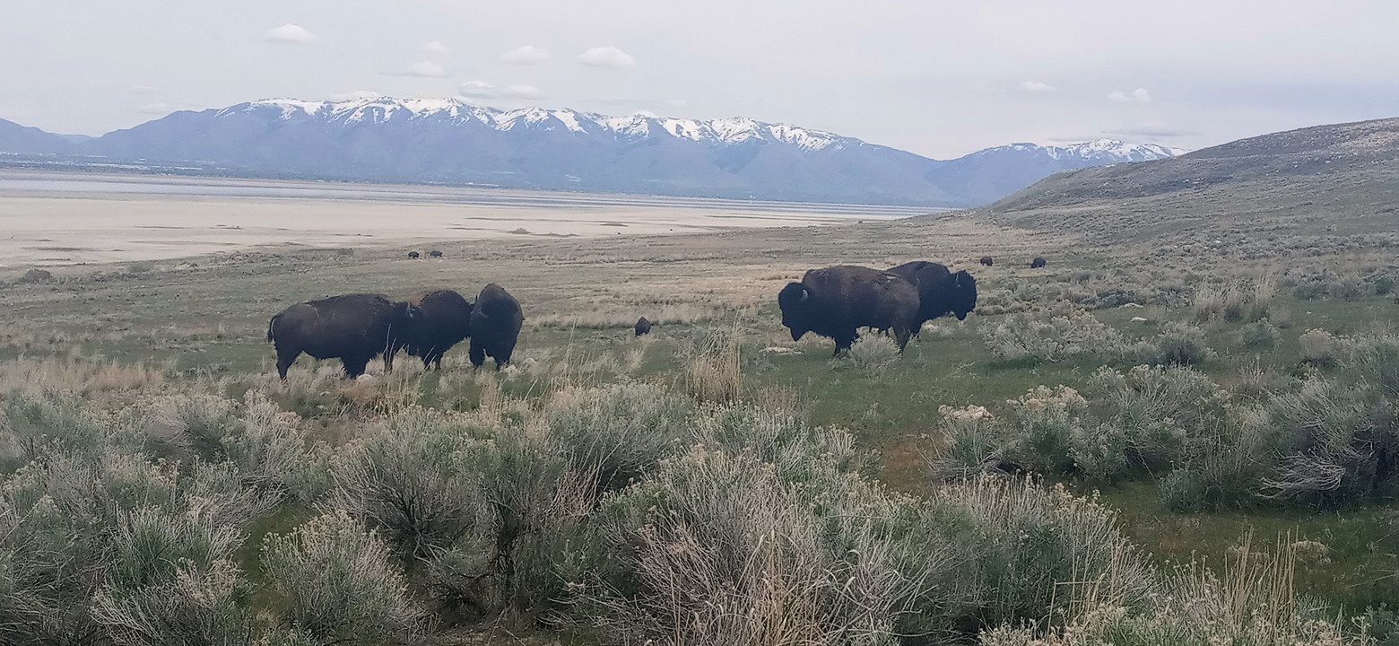 Personal Photo #46