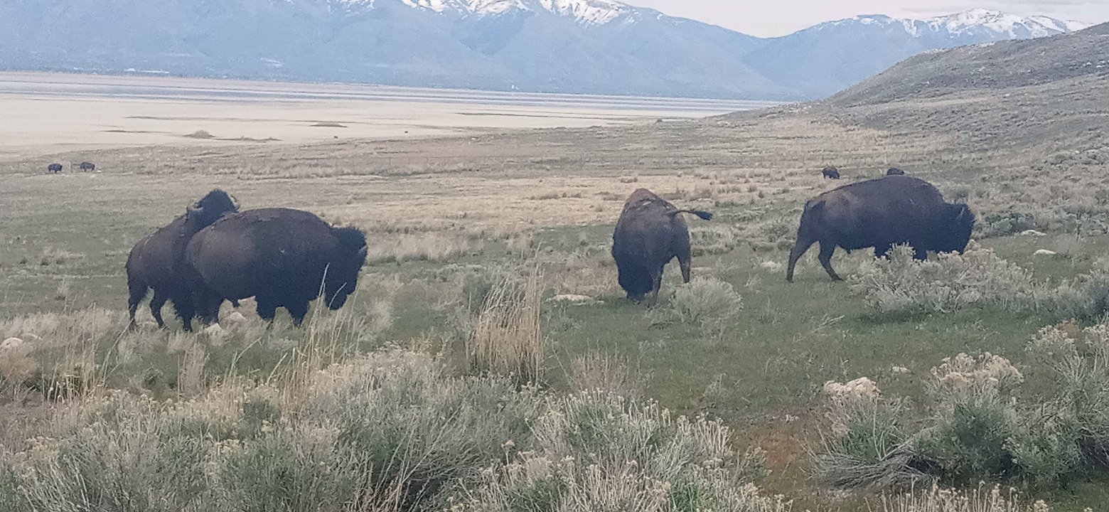 Personal Photo #47