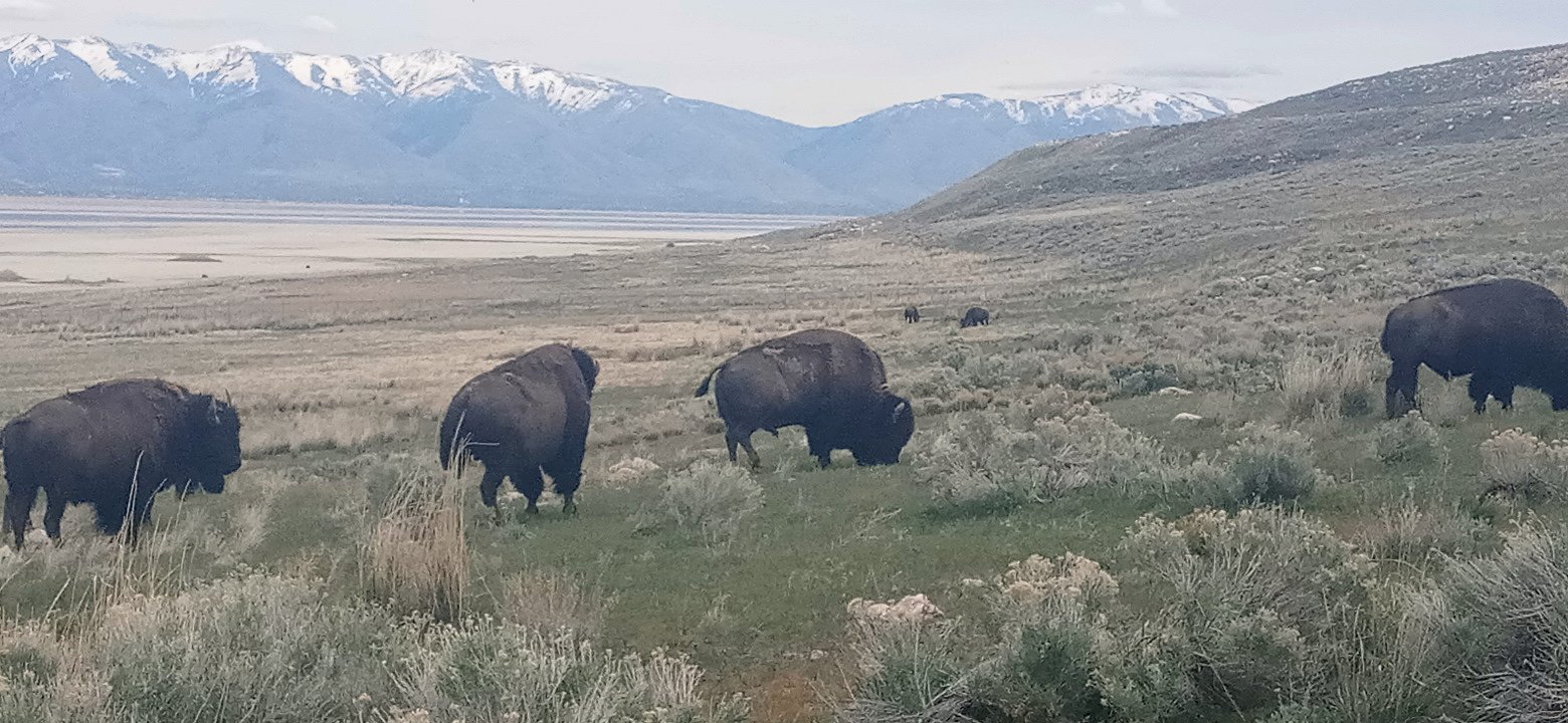Personal Photo #48