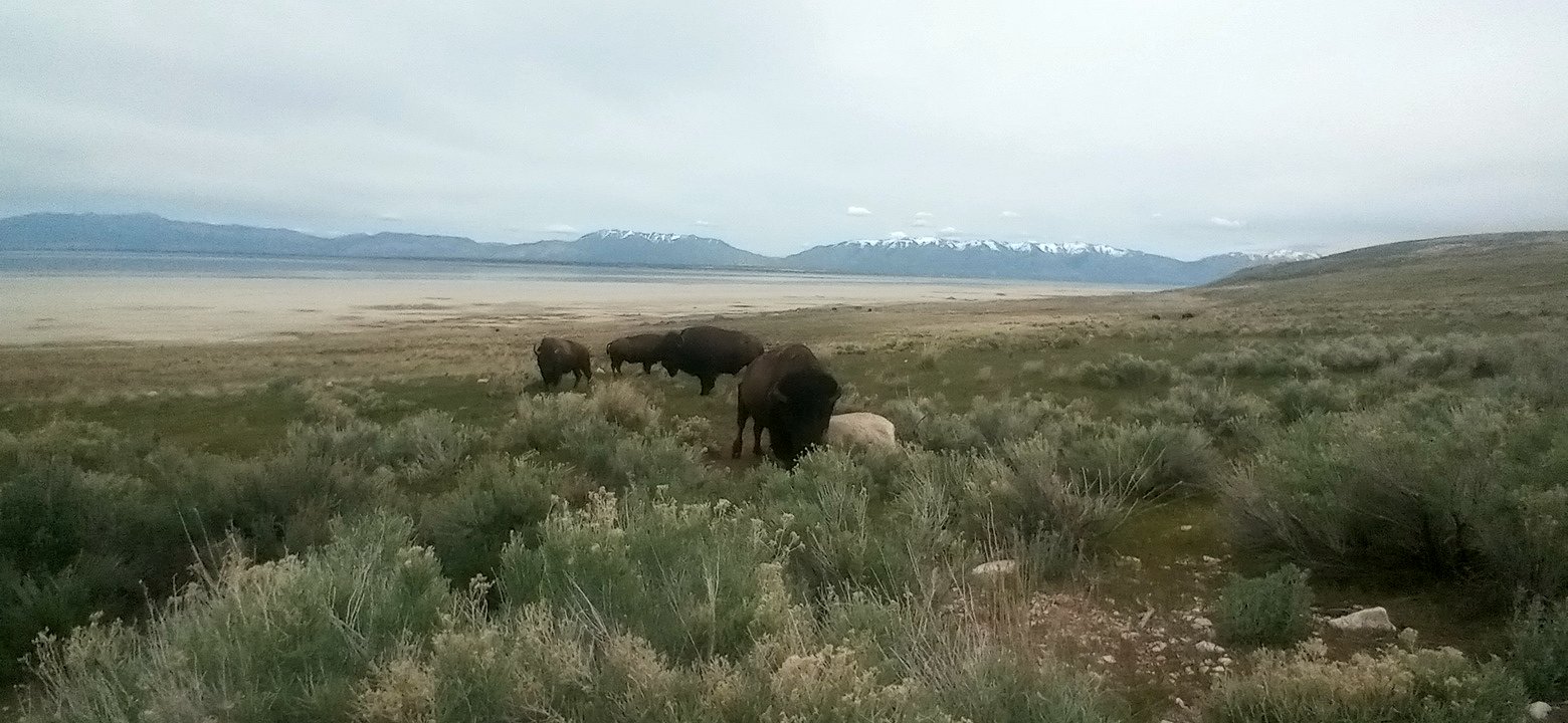 Personal Photo #56