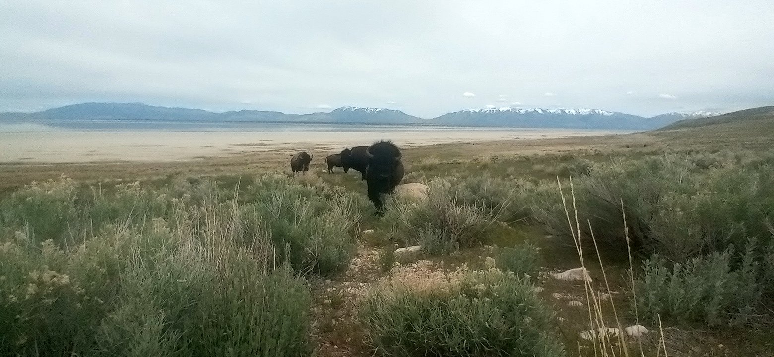 Personal Photo #57