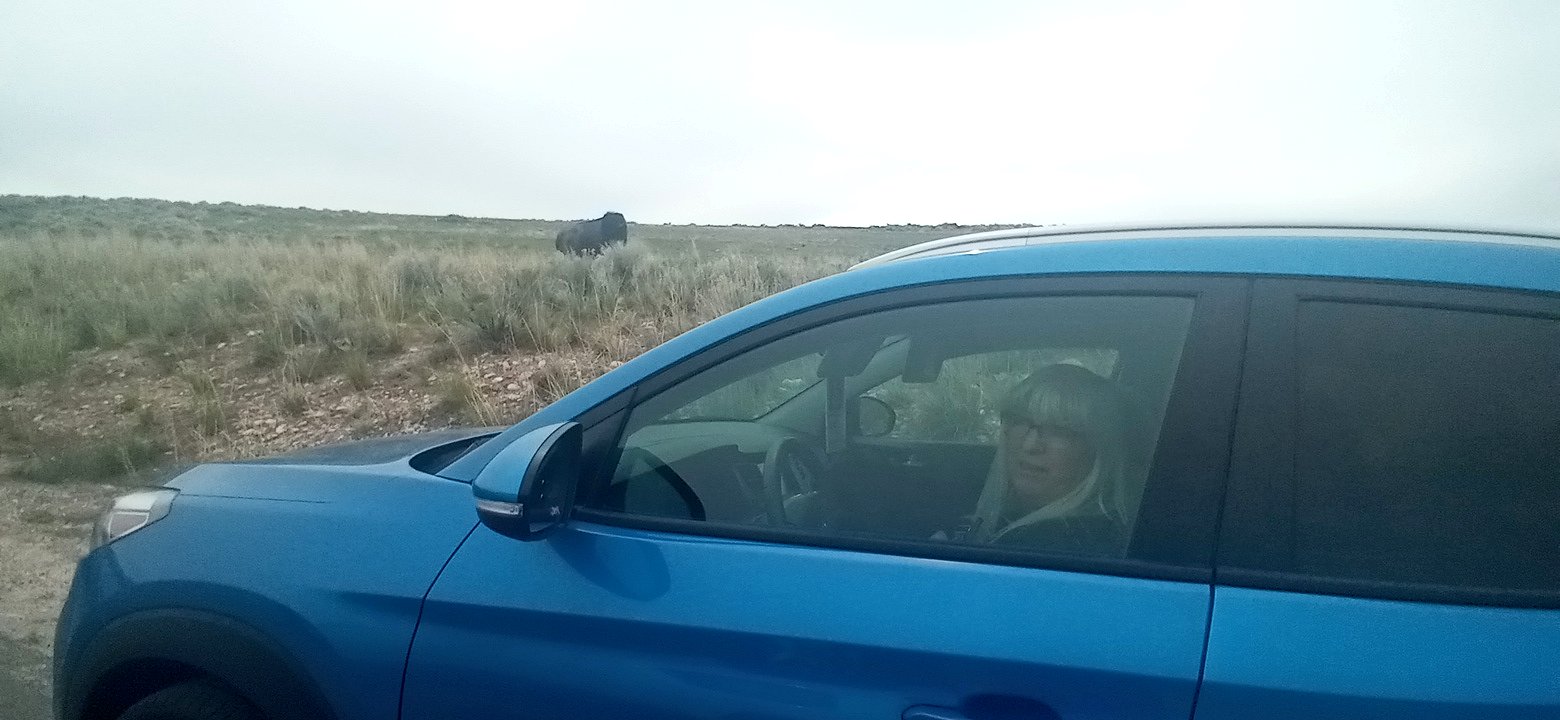 Personal Photo #61