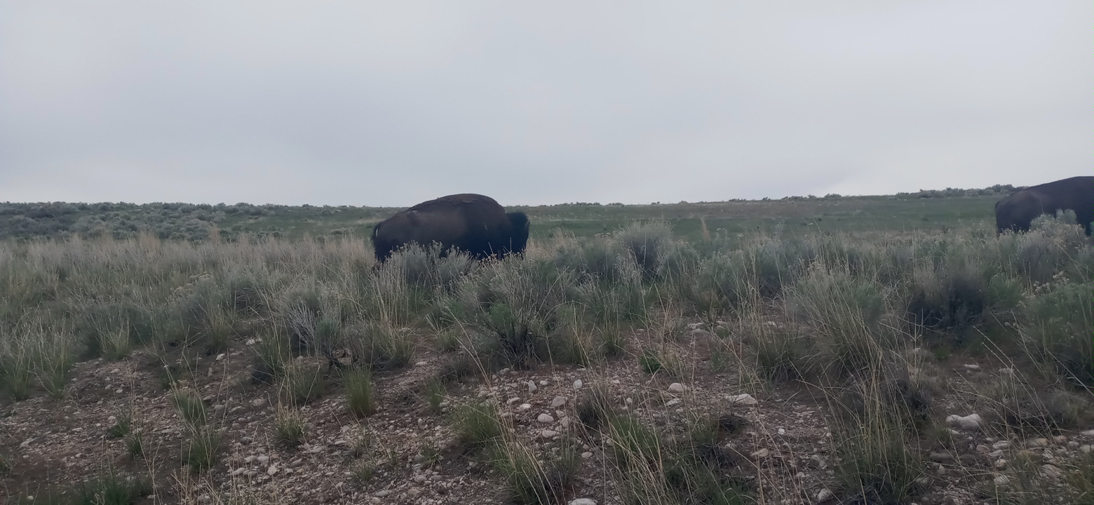 Personal Photo #65