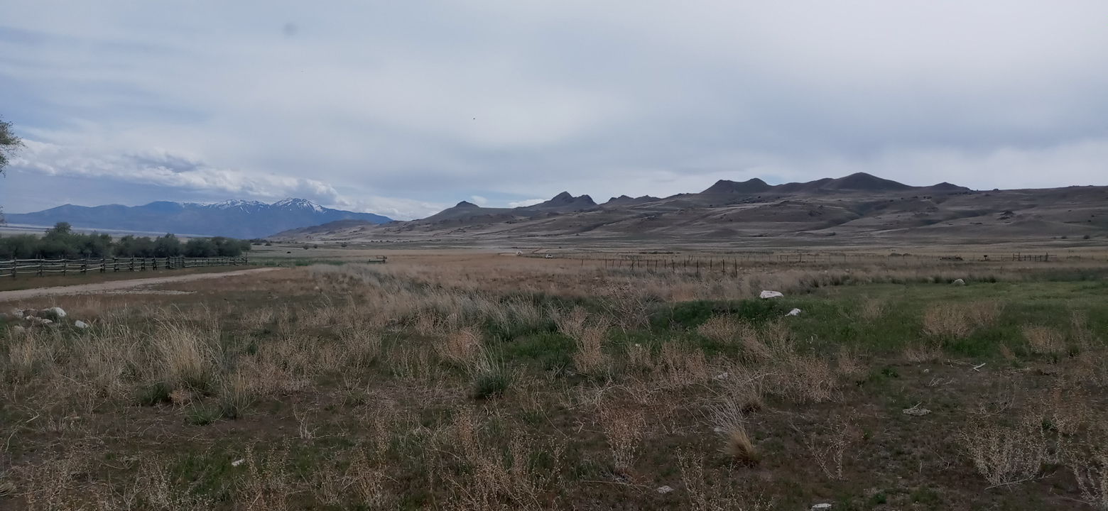 Personal Photo #81