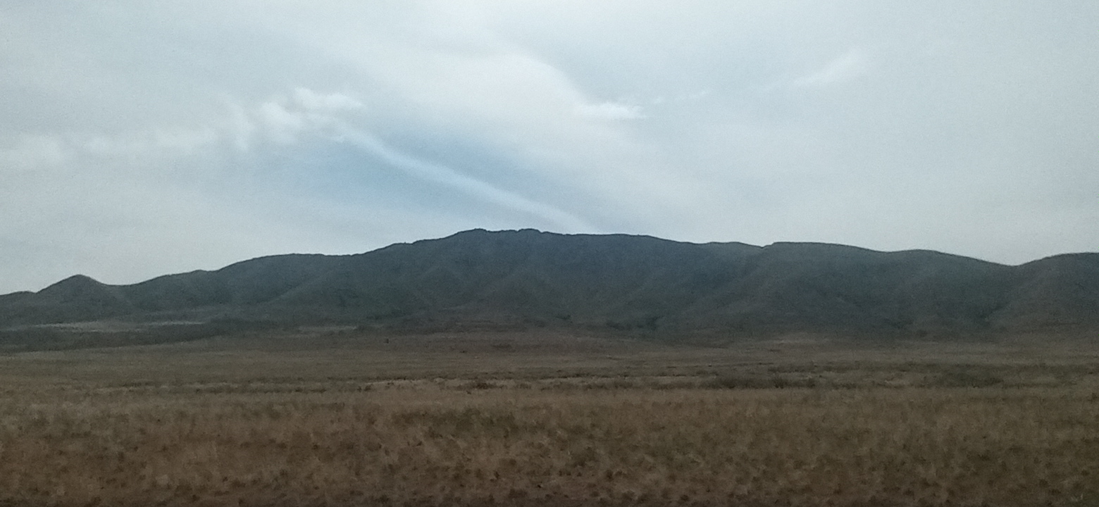 Personal Photo #84