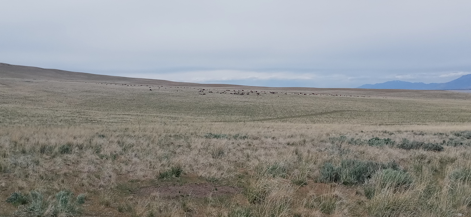 Personal Photo #85