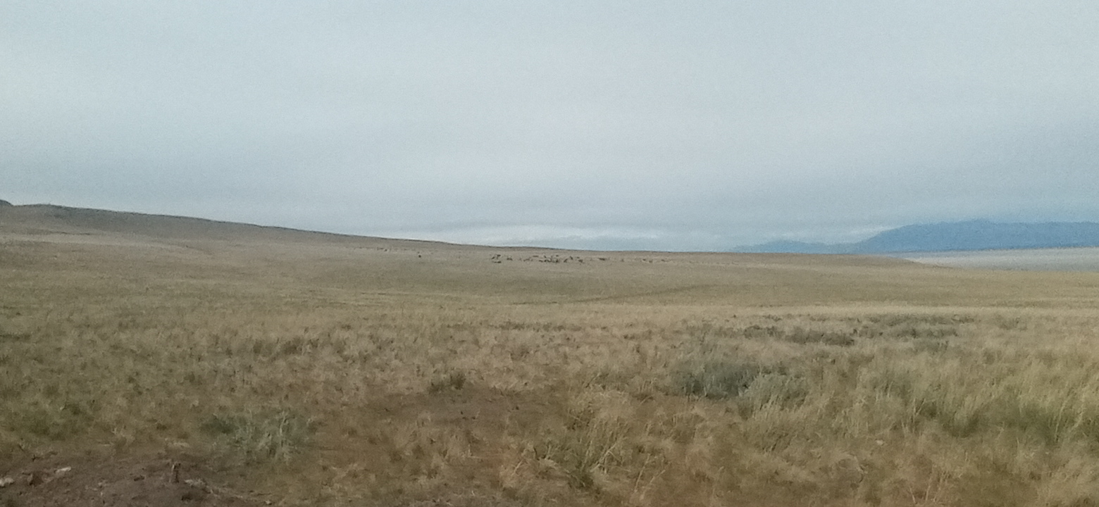 Personal Photo #87