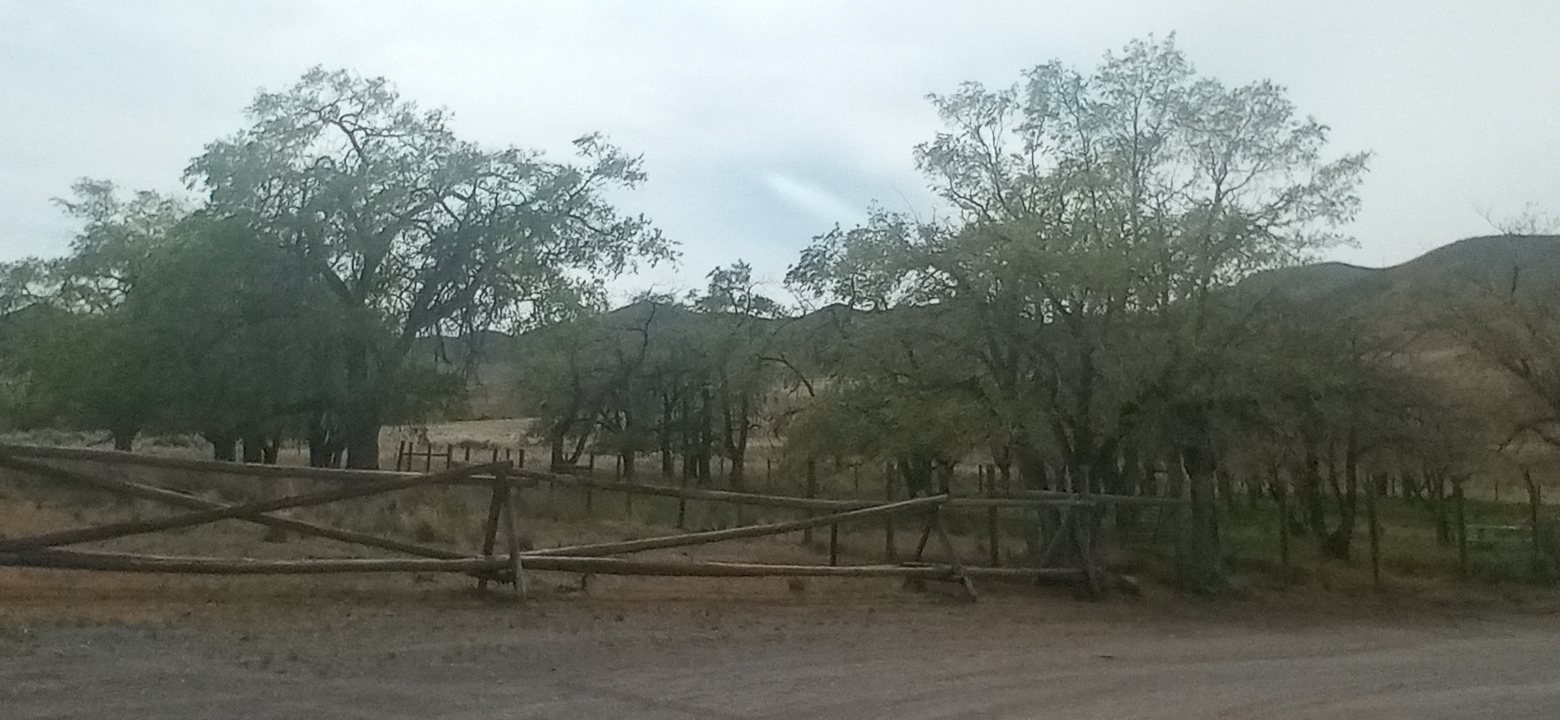 Personal Photo #88