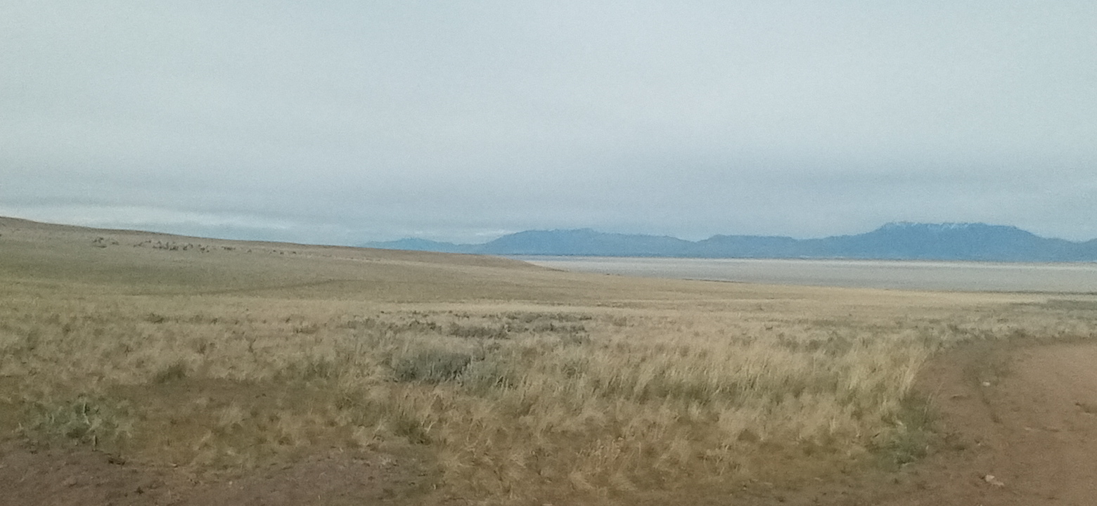 Personal Photo #90