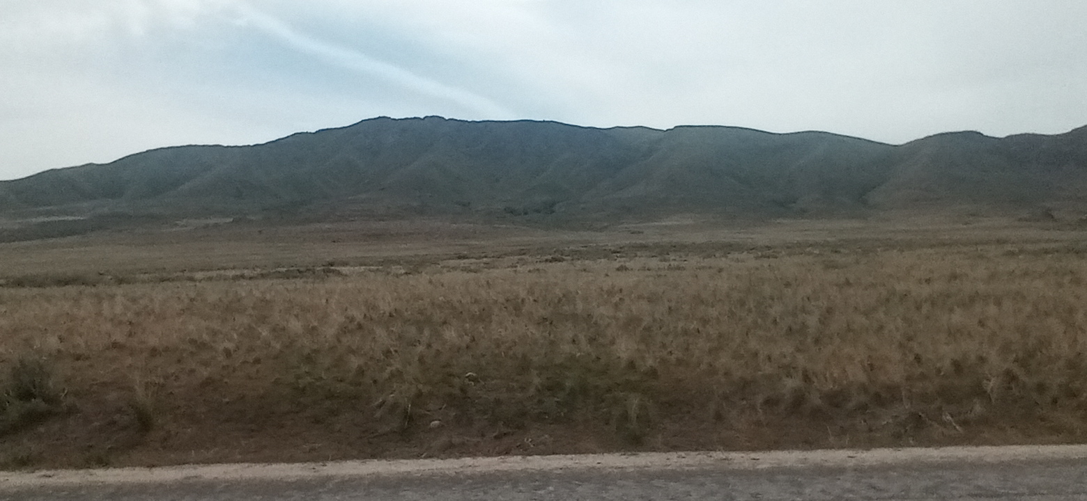 Personal Photo #91