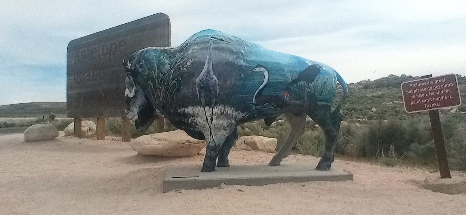 Personal Photo #104