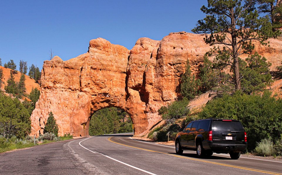 Utah National Monument - Dixie National Forest #4
