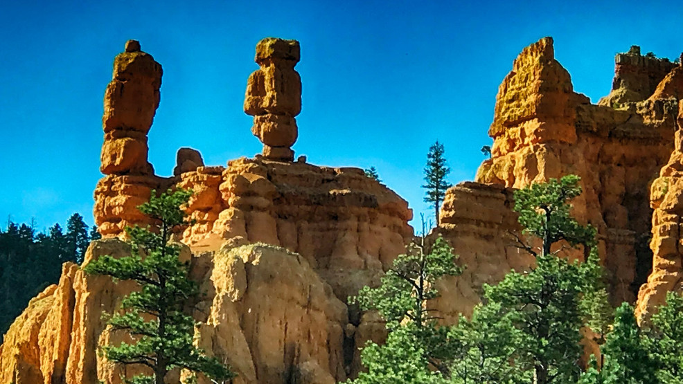 Utah National Monument - Dixie National Forest #7