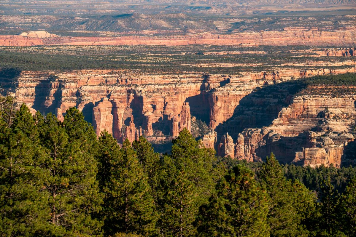 Utah National Monument - Manti La Sal National Forest #4